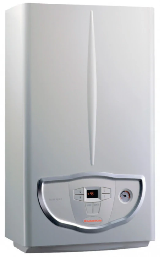 Котел газовый Immergas Mini Nike 24 3E, фото 1